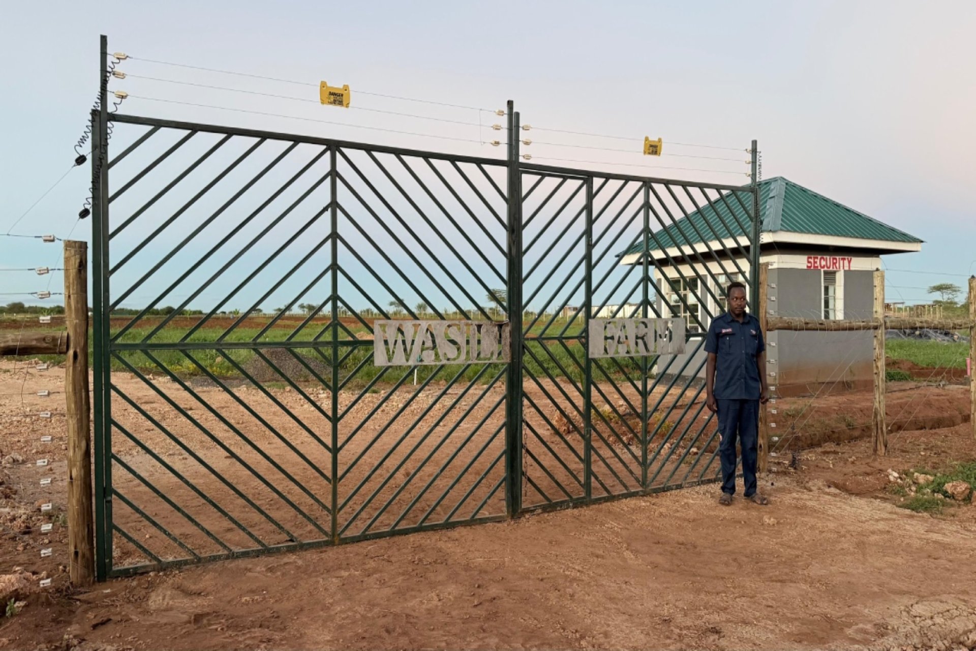 Wasili Farm - Garlic Suppliers in Kenya