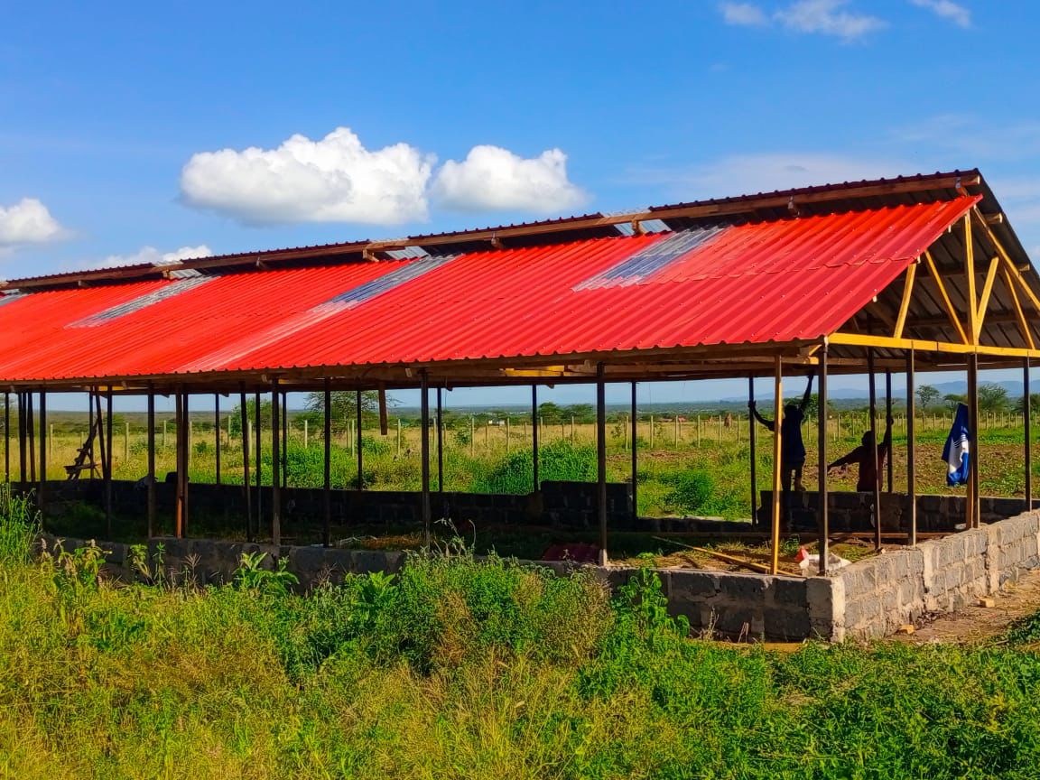 Farm Activity